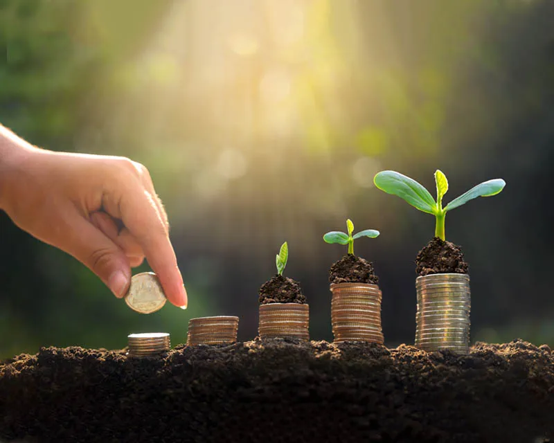 Unlimited Friends Association for Social Development (UFA)